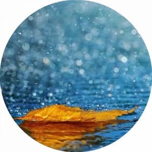 Meet your Posher, Hai