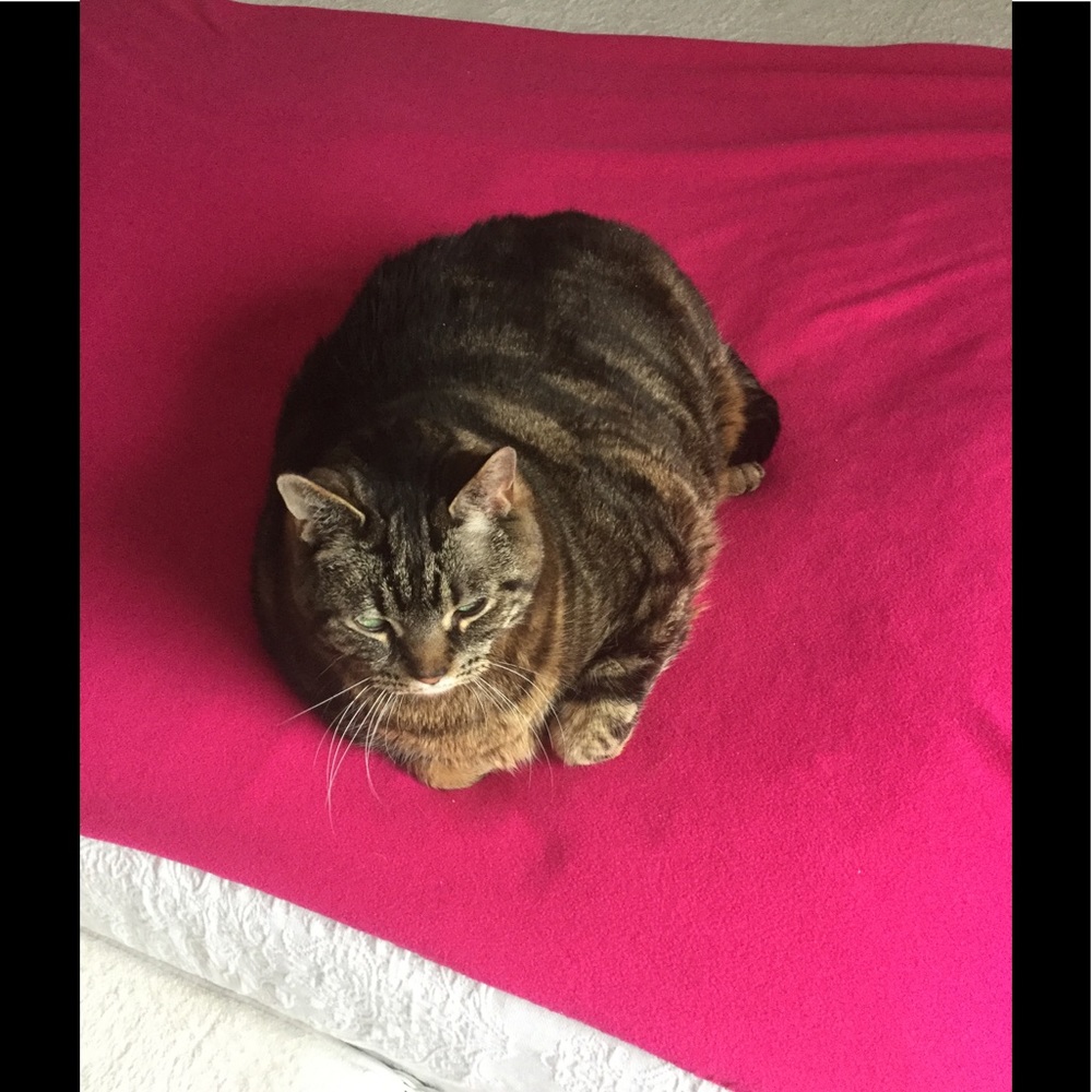 Meet your Posher, Mary