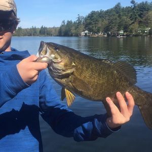 Meet your Posher, Reid