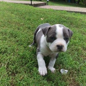 Meet your Posher, Katrina