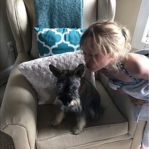 Meet your Posher, Amy