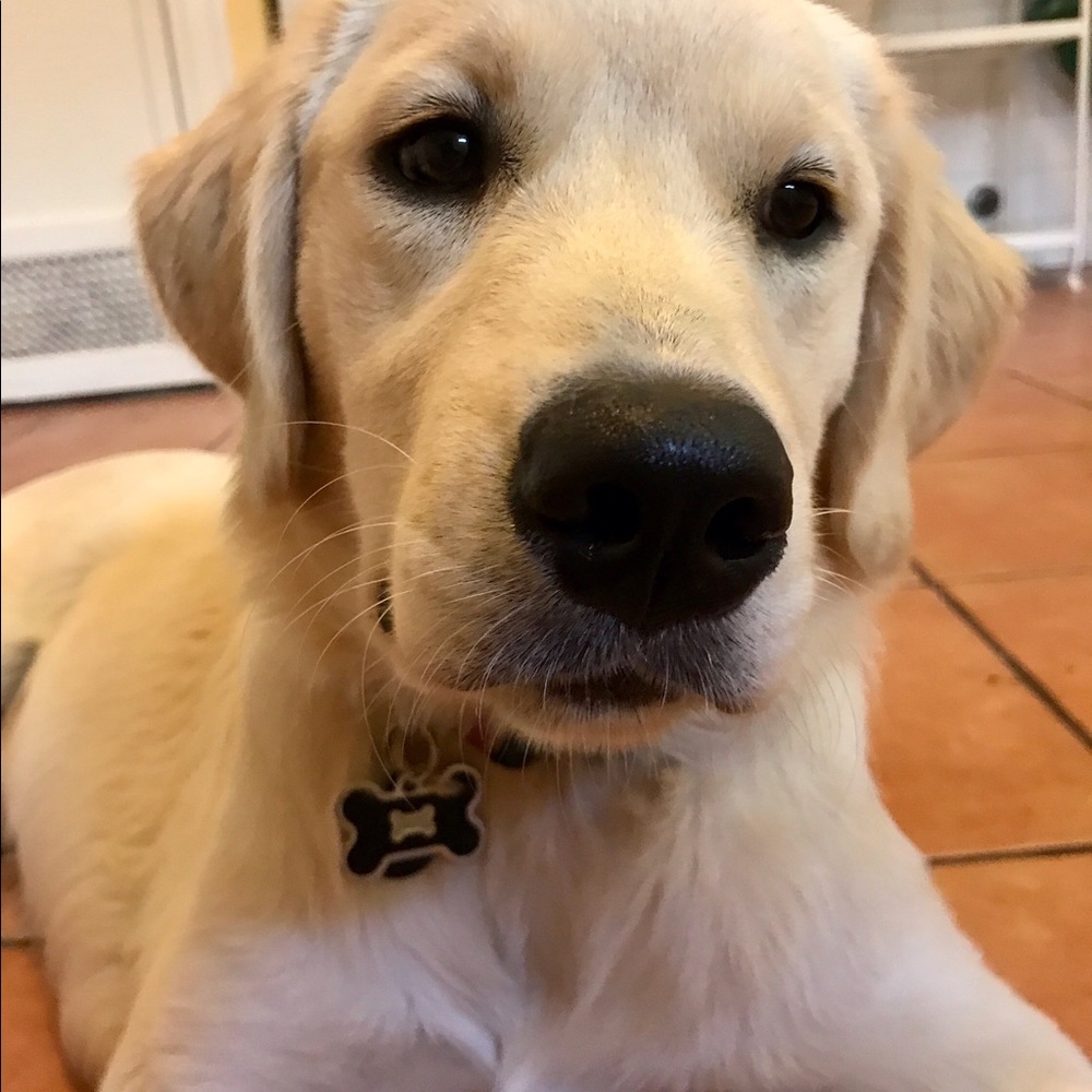 Meet your Posher, Cindy