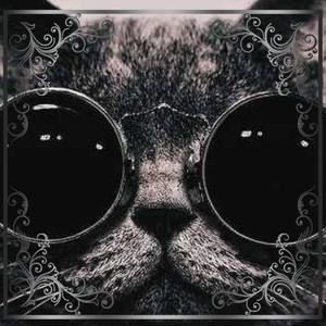 Meet your Posher, Priscilla