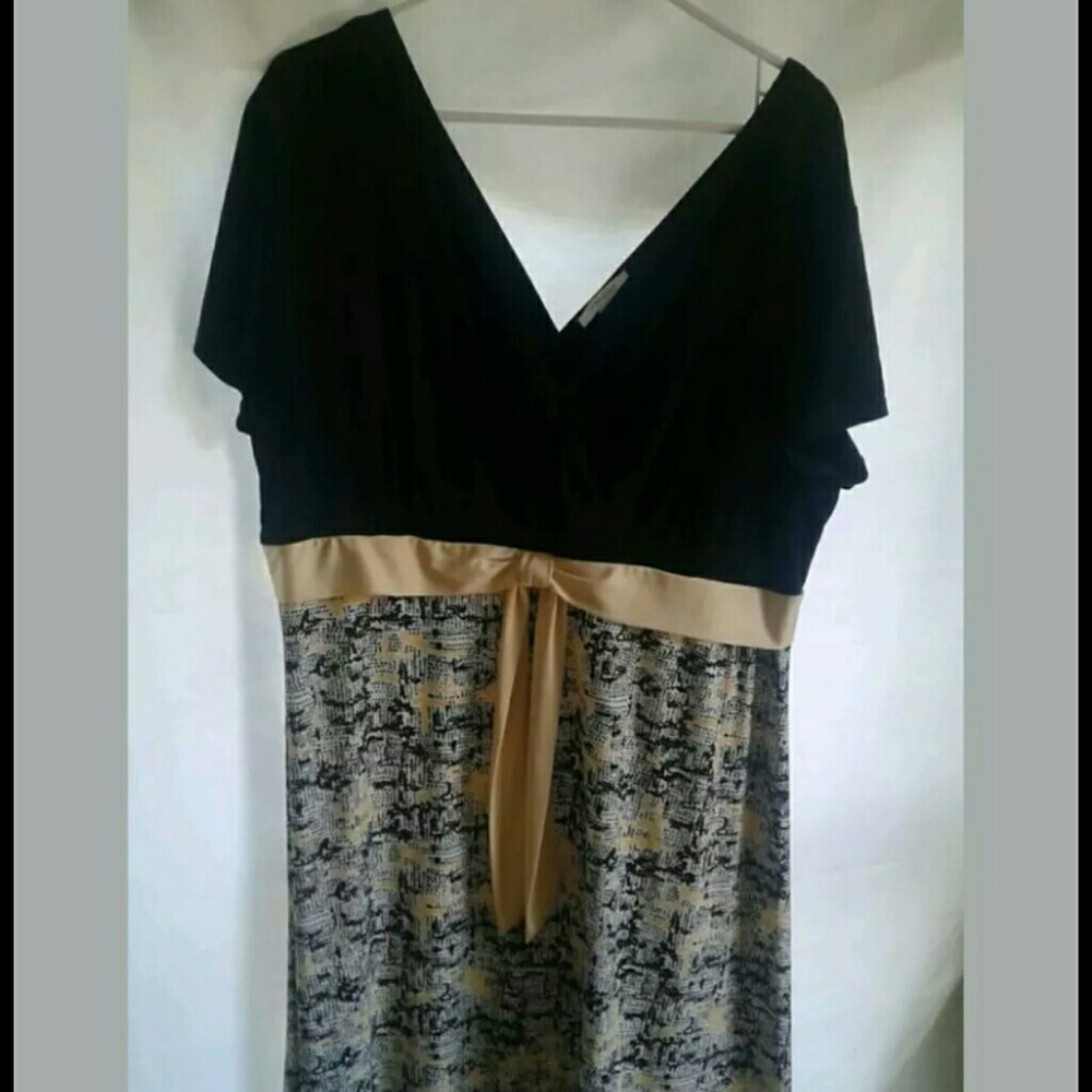Dressbarn Womens Sundress Sz 20 (E)