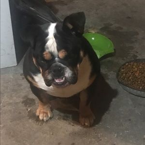 Meet your Posher, Keith