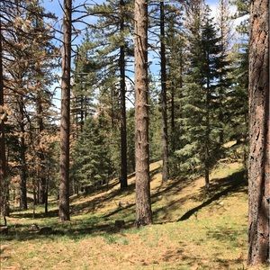 Meet your Posher, Cameron