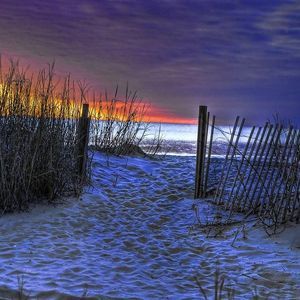 Meet your Posher, Dee