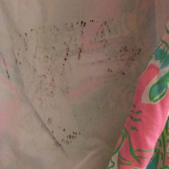 Lilly Pulitzer Chin Chin Dress - Picture 7 of 7