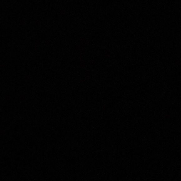 Meet your Posher, Braden - Picture 1 of 1