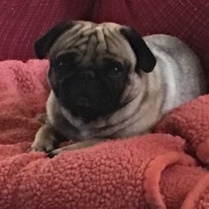 Meet your Posher, Omar