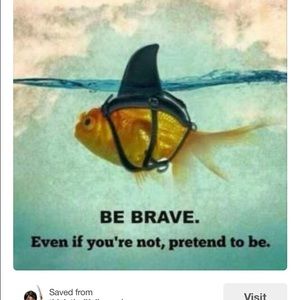 Meet your Posher, Aretha