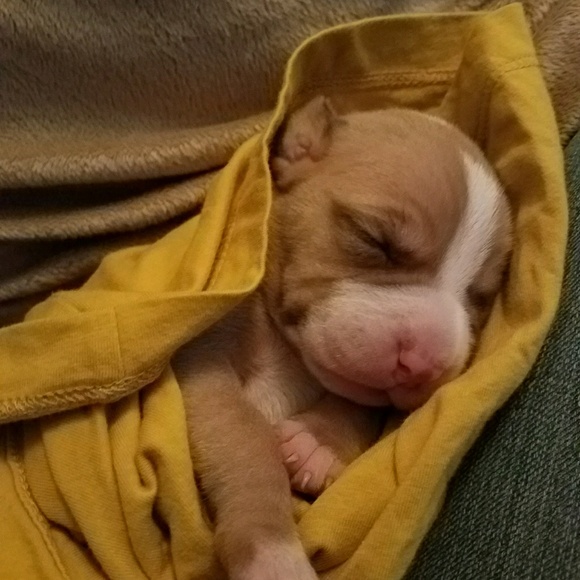 Meet your Posher, Tamika - Picture 1 of 1