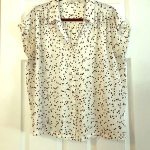 Loft Short Sleeve Button Down Blouse