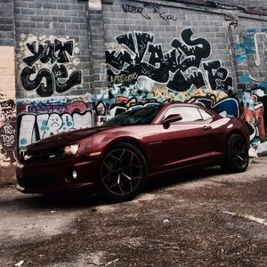 Meet your Posher, Jackson