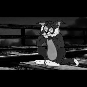 Meet your Posher, Jake