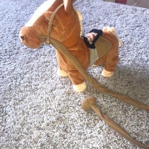 Walking singing donkey