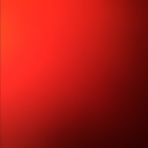 Meet your Posher, Arlin