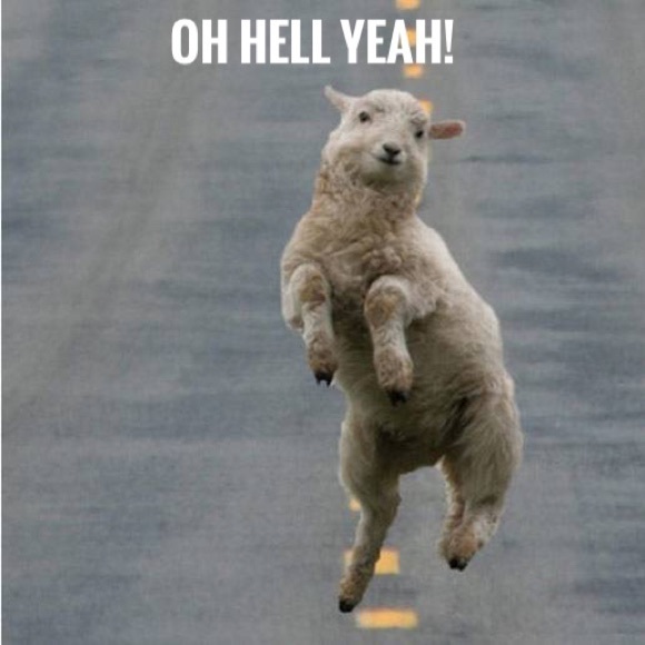 FOLLOW GAME! Like, follow all likes, Share!  - Picture 3 of 3