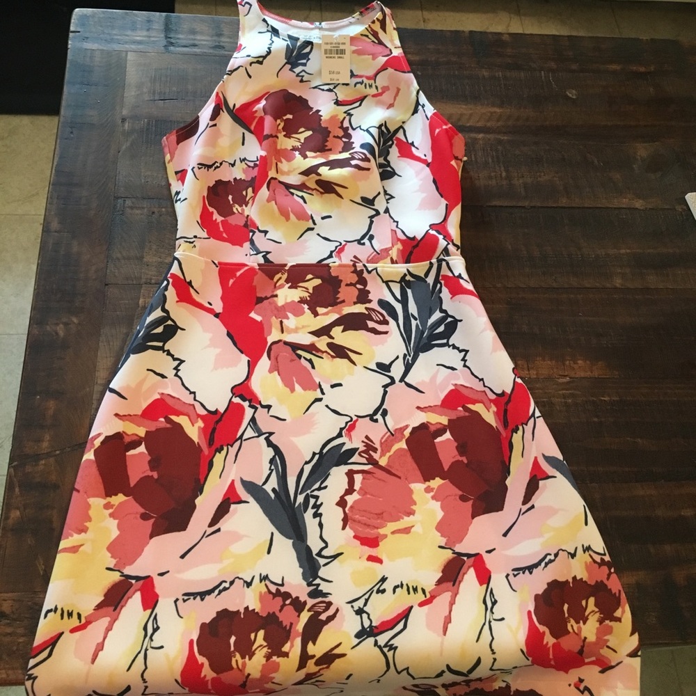 New Small Multi color Abercrombie & Fitch dress