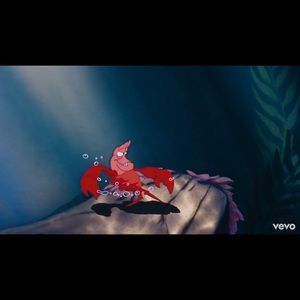 Meet your Posher, Patsy