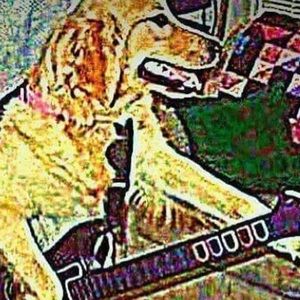 Meet your Posher, Sahil