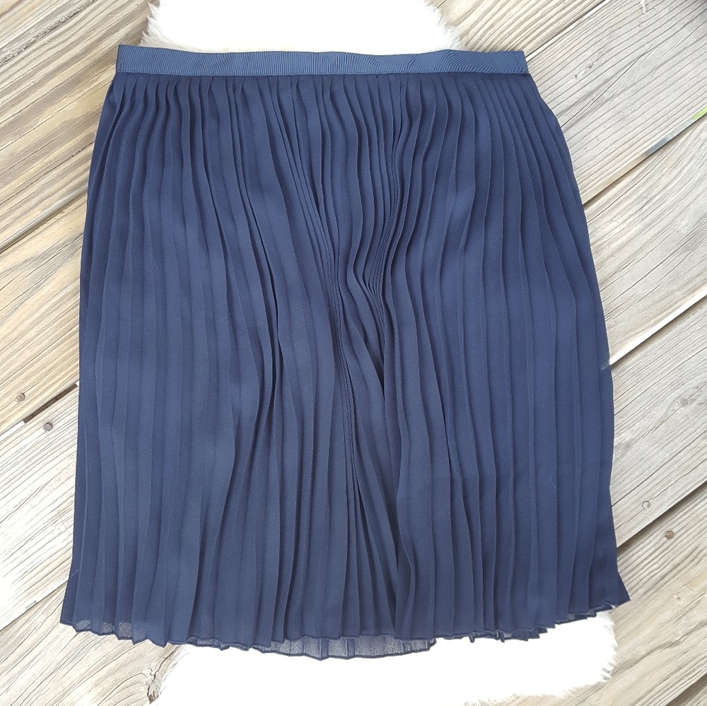 J. Crew Navy Pleated Skirt