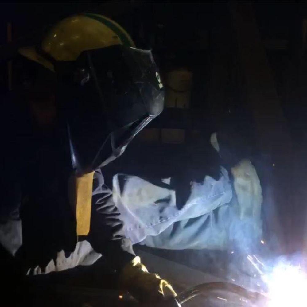 Meet your Posher, Beau