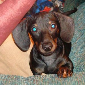 Meet your Posher, Mitchell