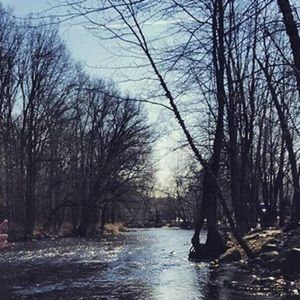 Meet your Posher, Weina