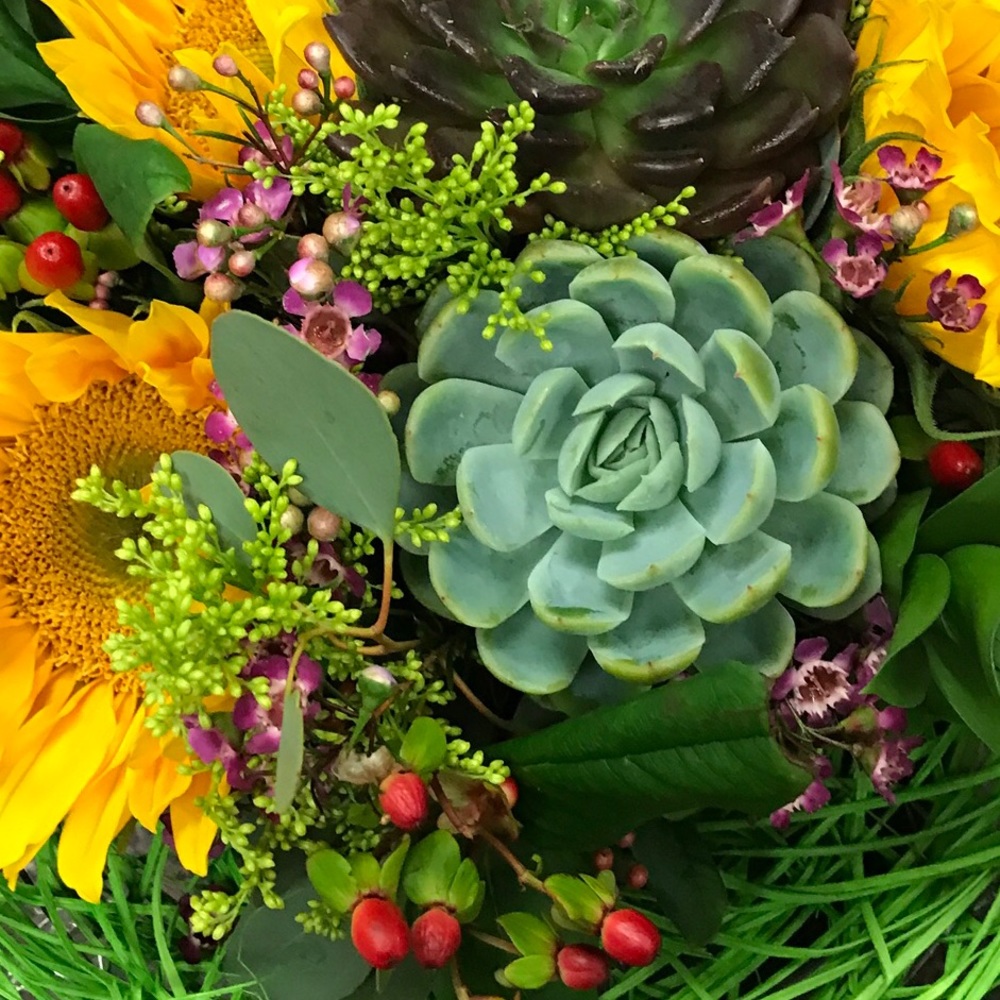 Meet your Posher, Laura