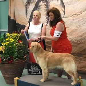 Meet your Posher, Pat