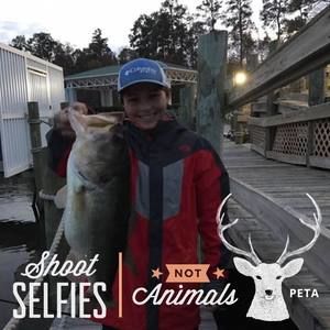 Meet your Posher, Jackson