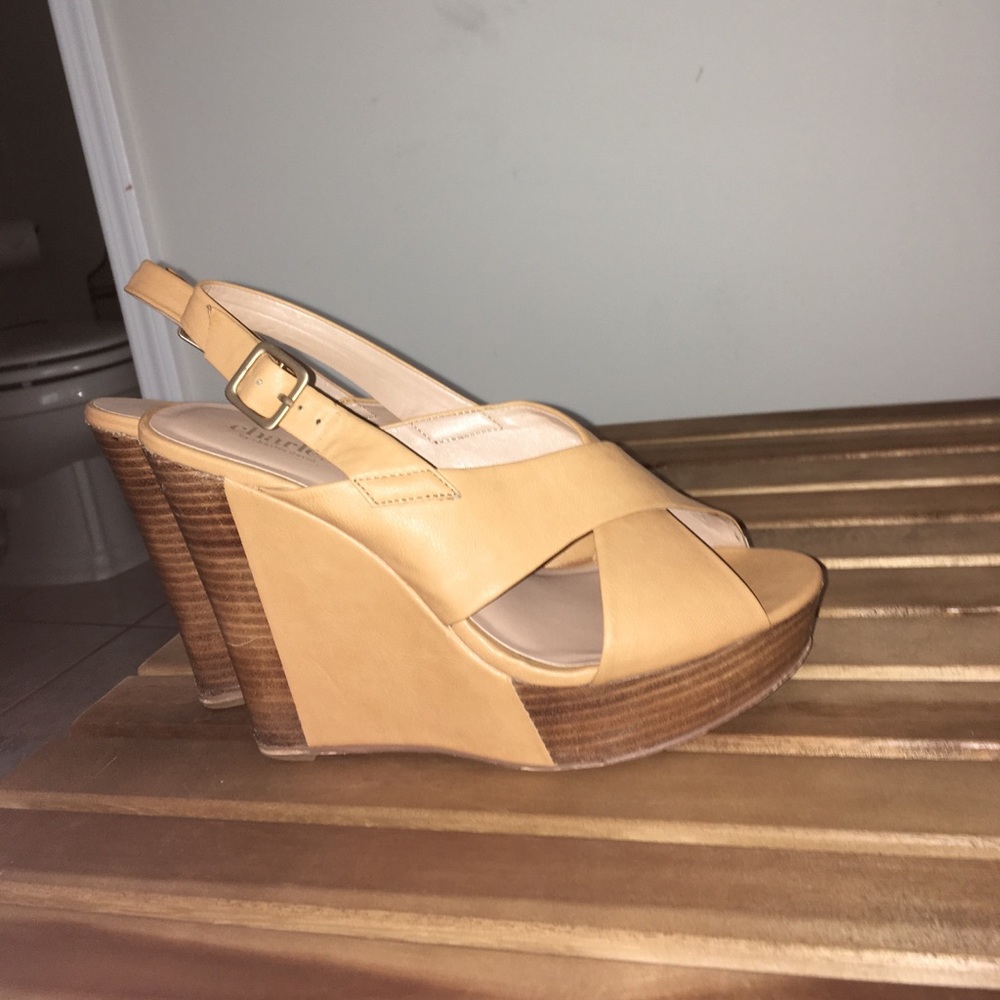 Nude Open toe Wedges