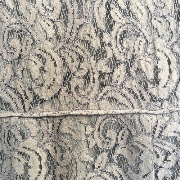 J Crew Light Gray Lace- High Neck - Picture 4 of 5