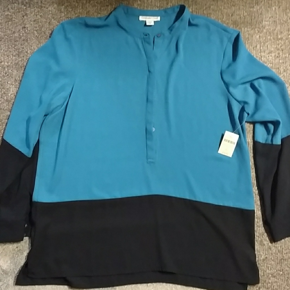 NWT tunic blouse