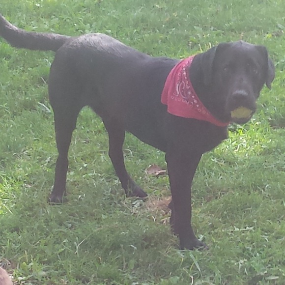 Women’s, Men’s, Children’s Clothing, Shoes & More! - Picture 5 of 7