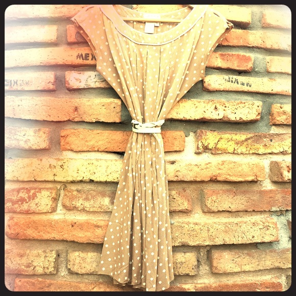 Adorable 50s-Inspired Dress by Max Studio MSSP - Picture 1 of 3
