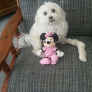 Meet your Posher, Lavone