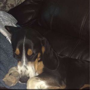 Meet your Posher, Jill