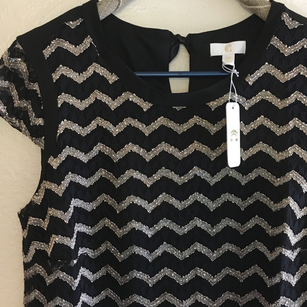 Charming Charlie Auroral Chevron Shift Dress