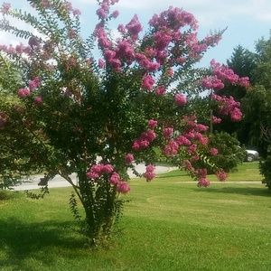 Meet your Posher, Jenny