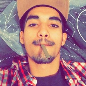 Meet your Posher, Mikey