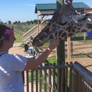 Meet your Posher, Shelby