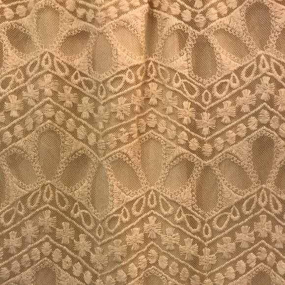 Zara Basic Collection Creme Lace Dress - Picture 3 of 4