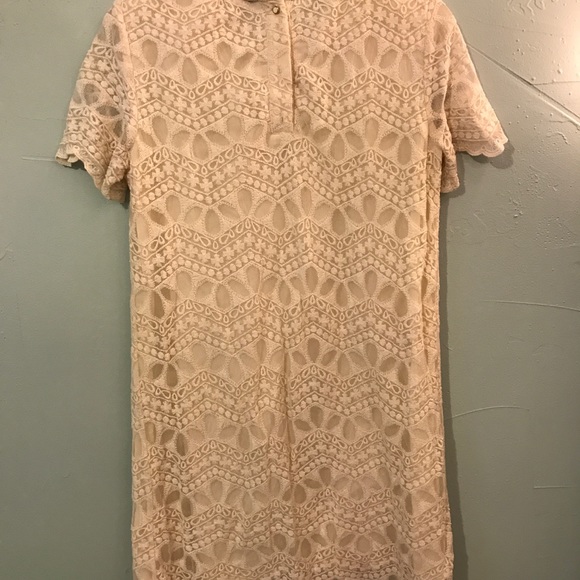 Zara Basic Collection Creme Lace Dress - Picture 4 of 4