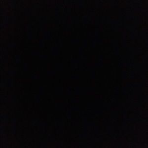 Meet your Posher, Mona