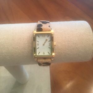 Pyramid watch-Exotic