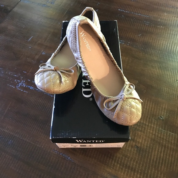 Wanted Shoes - VGUC~Wanted Ballet Flats