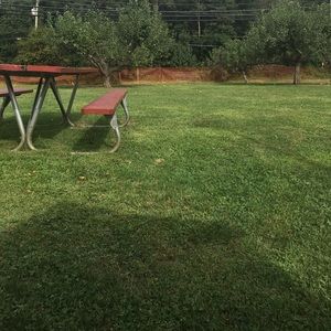 Meet your Posher, Malak