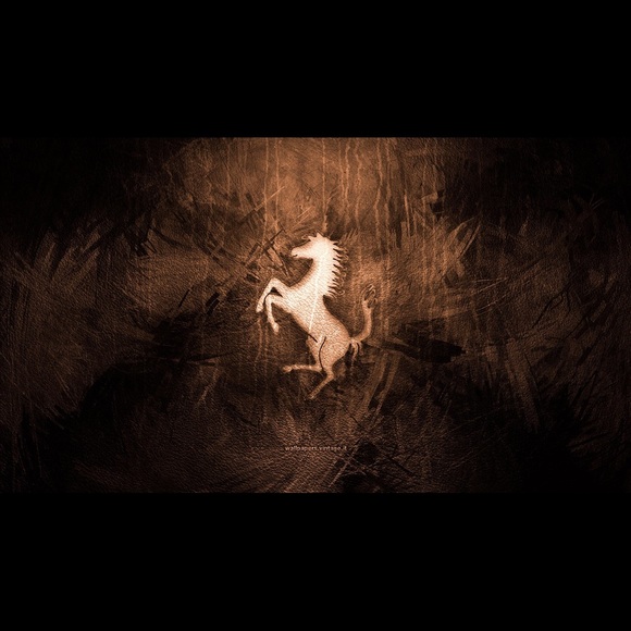 Meet your Posher, Kyle - Picture 1 of 1